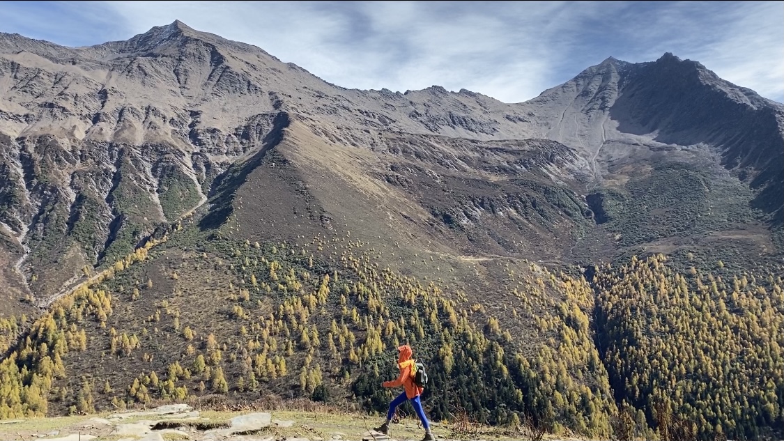 最新地推推广一体化打造您的网络平台:虚拟商品交易的高效助手,自动发卡全天候,小红书免费点赞粉丝下单平台：社交媒体代刷现象显现背后隐患